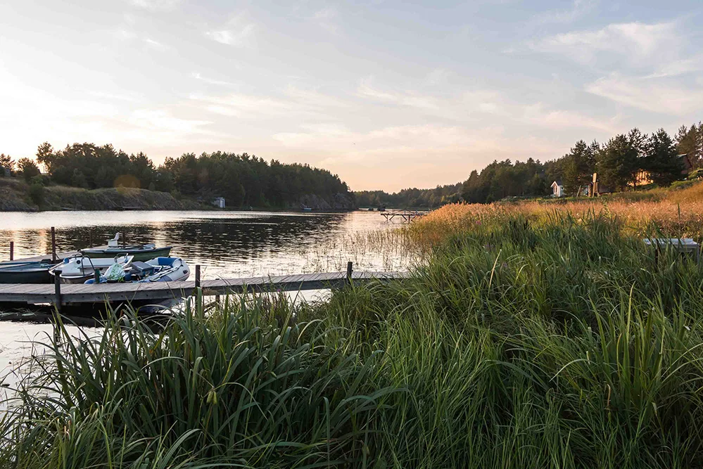 En skovsø med en lille bro hvor der ligger en båd til. Marker i solnedgang i svensk natur. Sverige.
