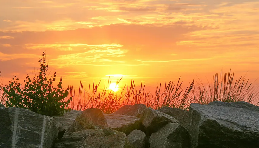 Bild från stranden i Kühlüngsborn, med stenar i förgrunden och vass och en himmel med solnedgång i bakgrunden.