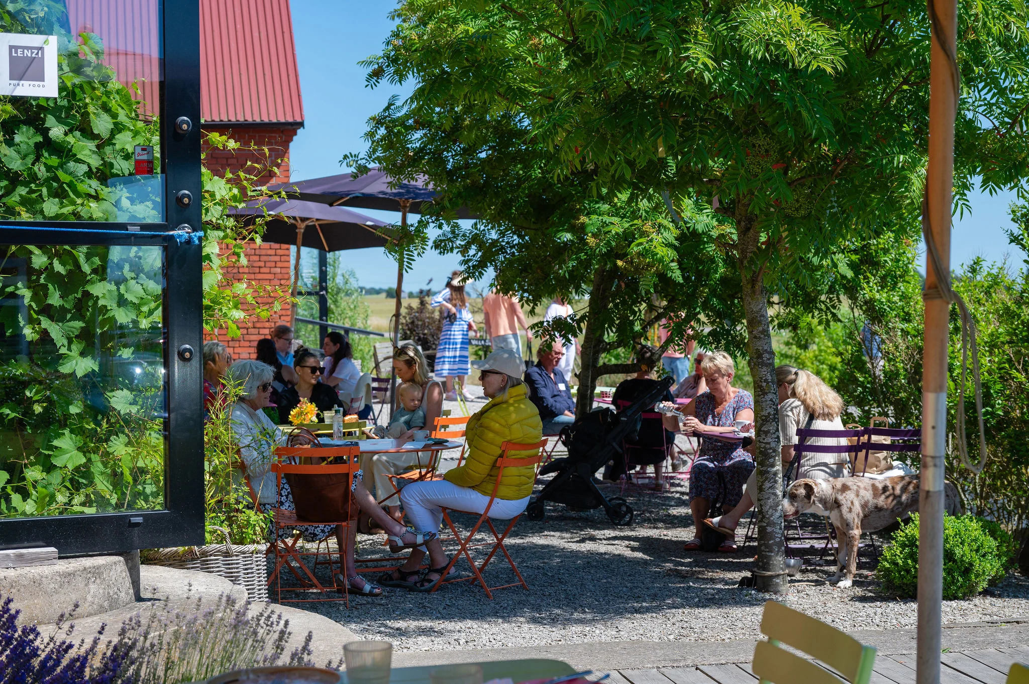 Slättarps Gård restaurant udendørs servering i solskin.