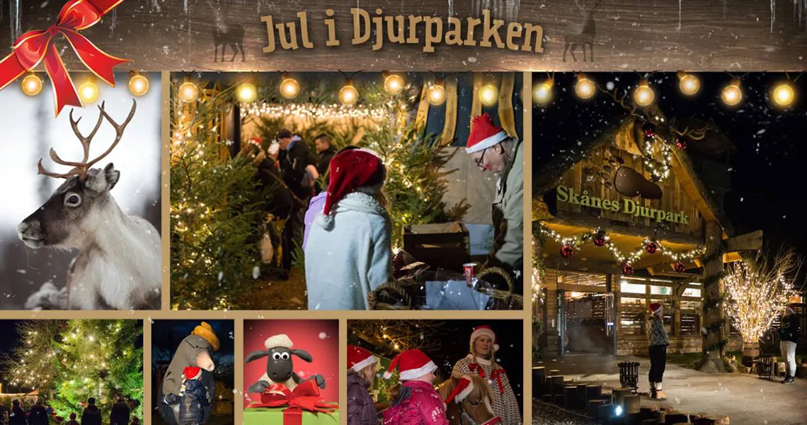 Jul i Skånes Djurpark
