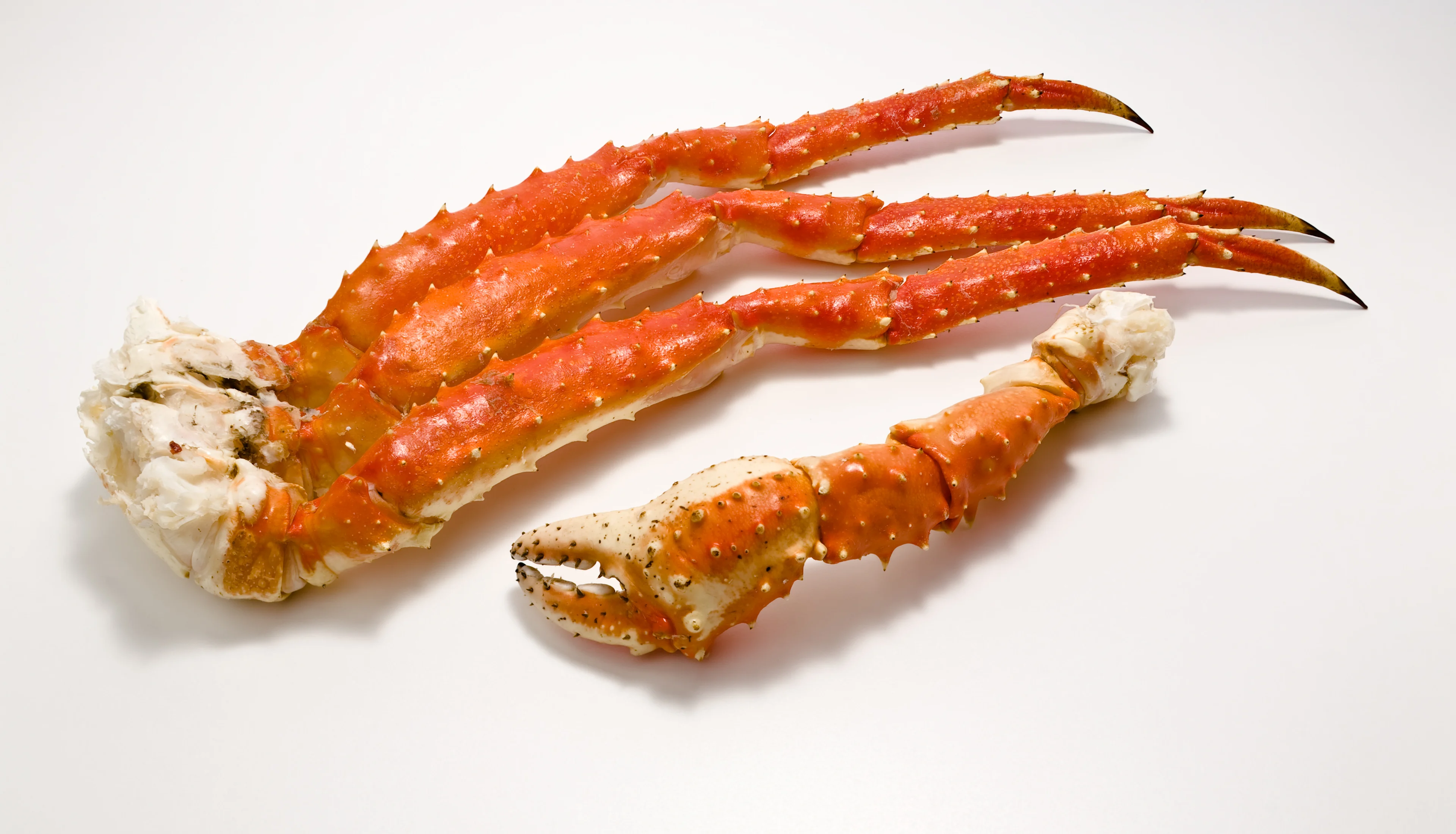 Krabbeben hos Fisk & Skaldjur i Limhamn
