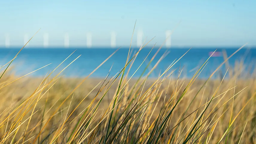 Bild från Amager Strandpark, med sand, gräs och havet i bakgrunden.