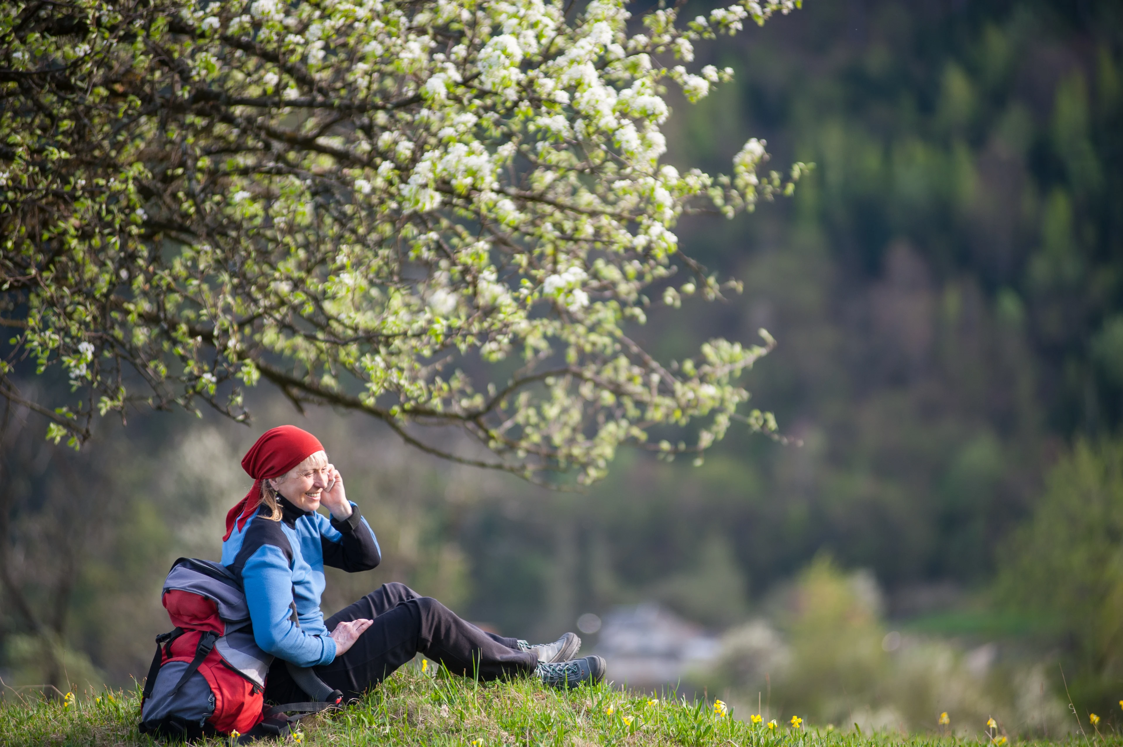 En ung kvinde på Vandretur i Sverige sidder og tager en pause på en bakketop under et træ.