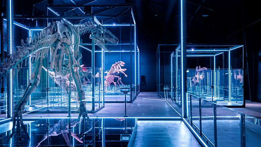 Utställda dinosaurieskelett inne på Evolutionsmuseet.