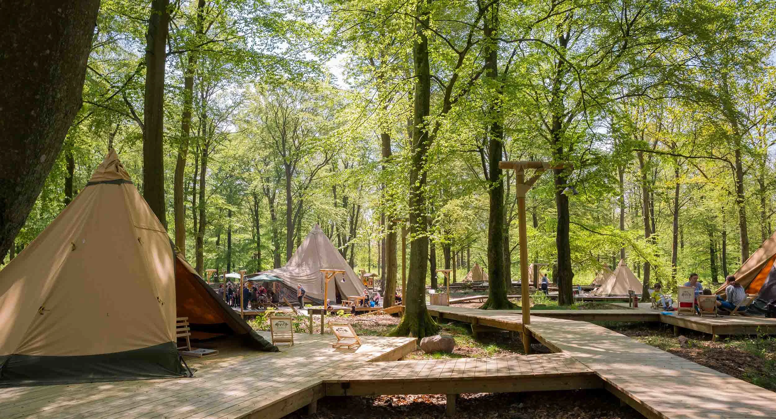 Teltbyen Camp Oak i skoven i Skånes Djurpark.