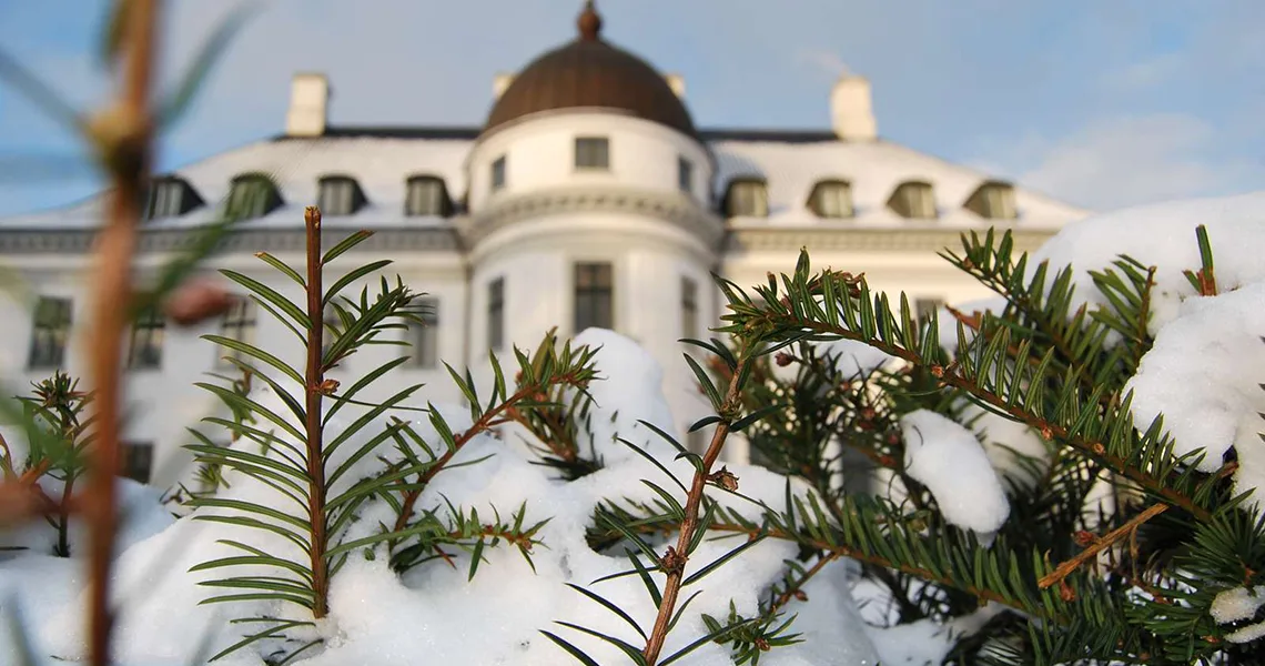 Snö och granris framför Bernstorff Slott utanför Köpenhamn.