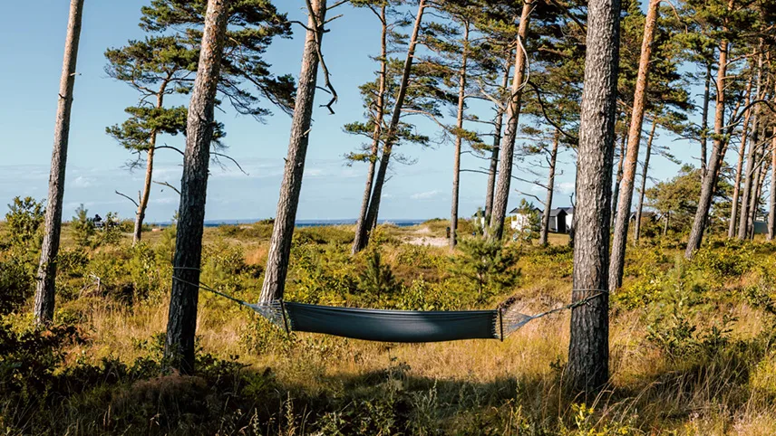 Naturen foran Hotell Riviera Strand med masser af træer og buske, udsigt til vandet og en hængekøje, man kan slappe af i.