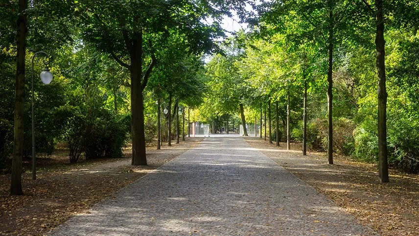 Berlins stadspark Tiergarten på en sensommardag. På bilden syns höga träd, en bred gångstig och gatlyktor.
