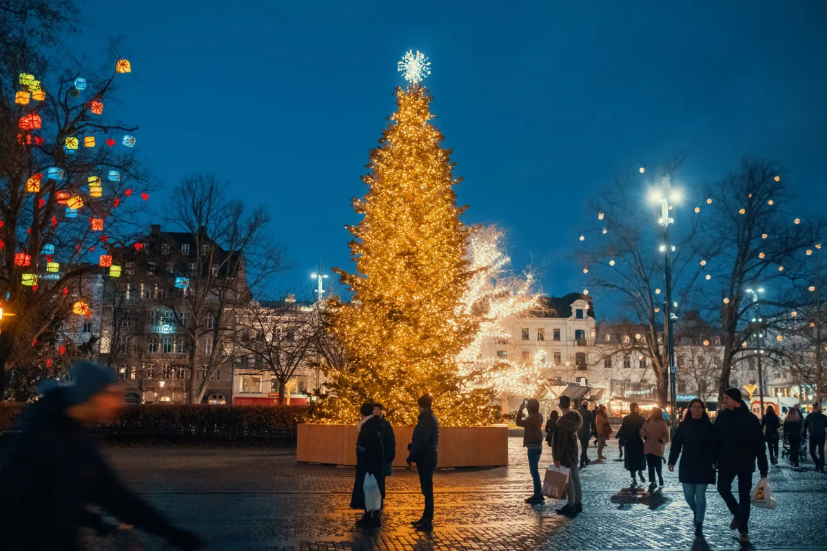 Jul og vinter i Malmø City med det store oplyste juletræ midt på torvet. 