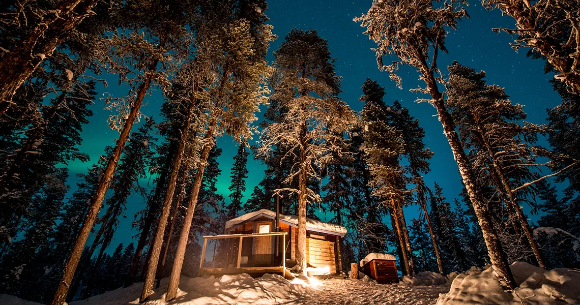 Treehotel i sneklædt skov med nordlys over sig.