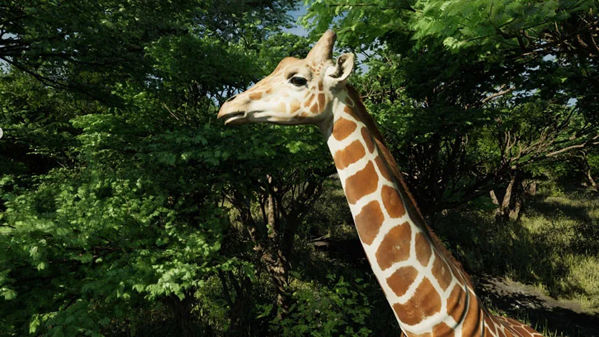 En giraff står mot en bakgrund av frodiga gröna träd.