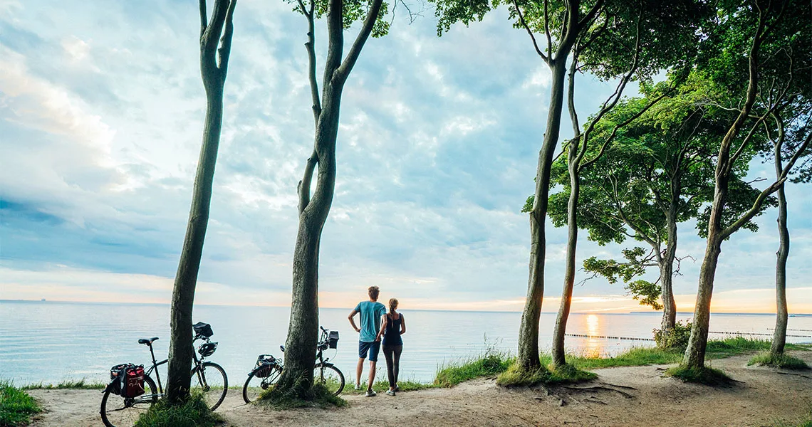 Två cyklister står vid träd och tittar ut över havet vid solnedgången