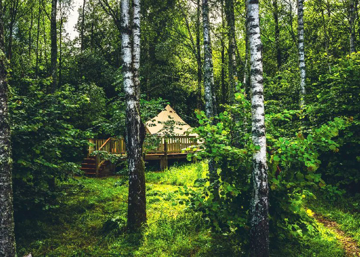Bjarkagard Glamping på Österlen - et fint glampingtelt midt mellem træerne.