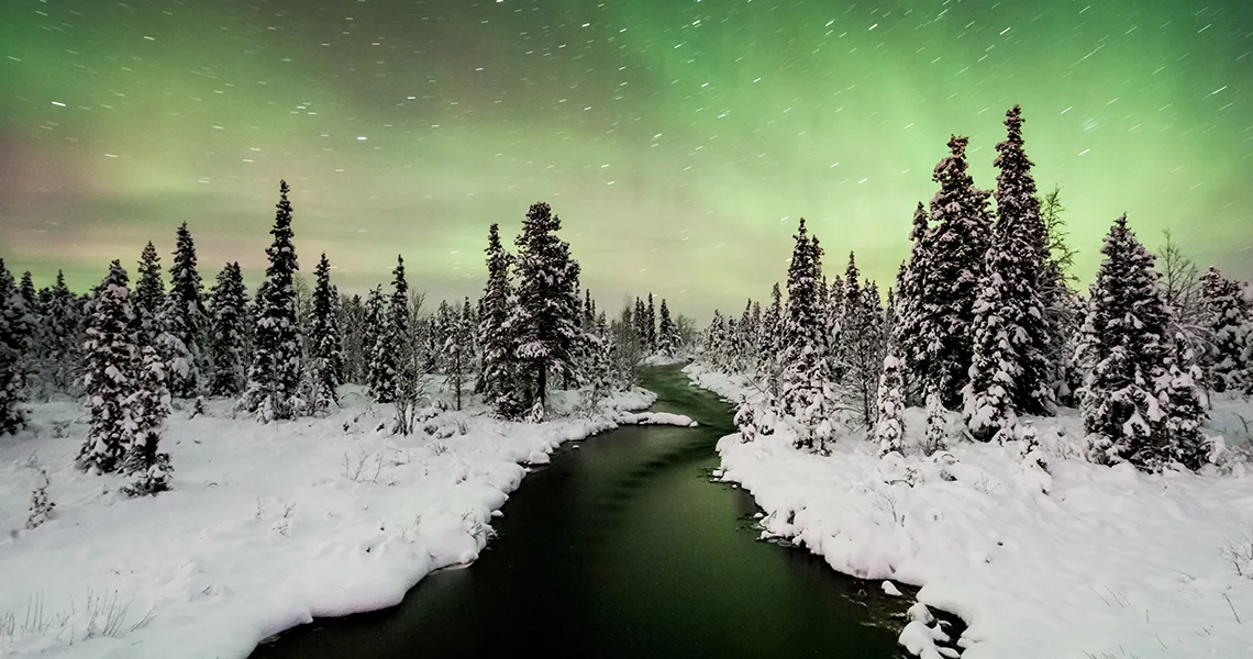 Skov og et lille vandløb dækket af sne med nordlys på himlen.