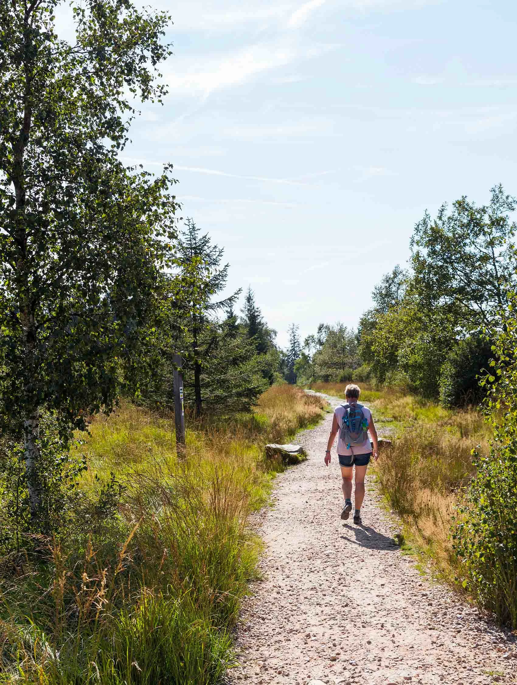 Kvinde på vandretur i naturen på en sti mellem træer og natur i Sverige.
