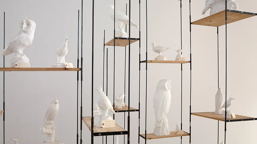 Udstillingen Making Nature af Fredrik Strid på Skissernas Museum i Lund med alle Sveriges fugle støbt i stearin.