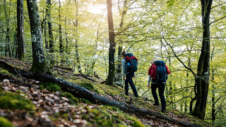 To personer på vandretur i Sverige med rygsæk i en smuk grøn skov.