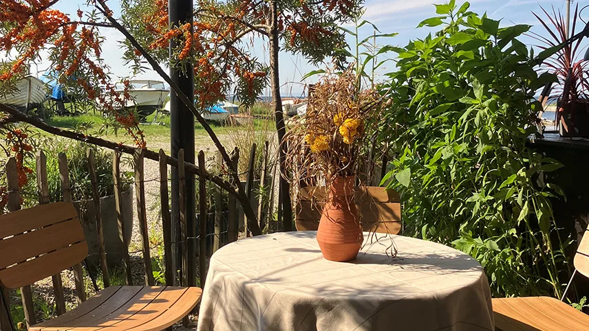 Hörte Bryggas terrasse udendørs i solskin