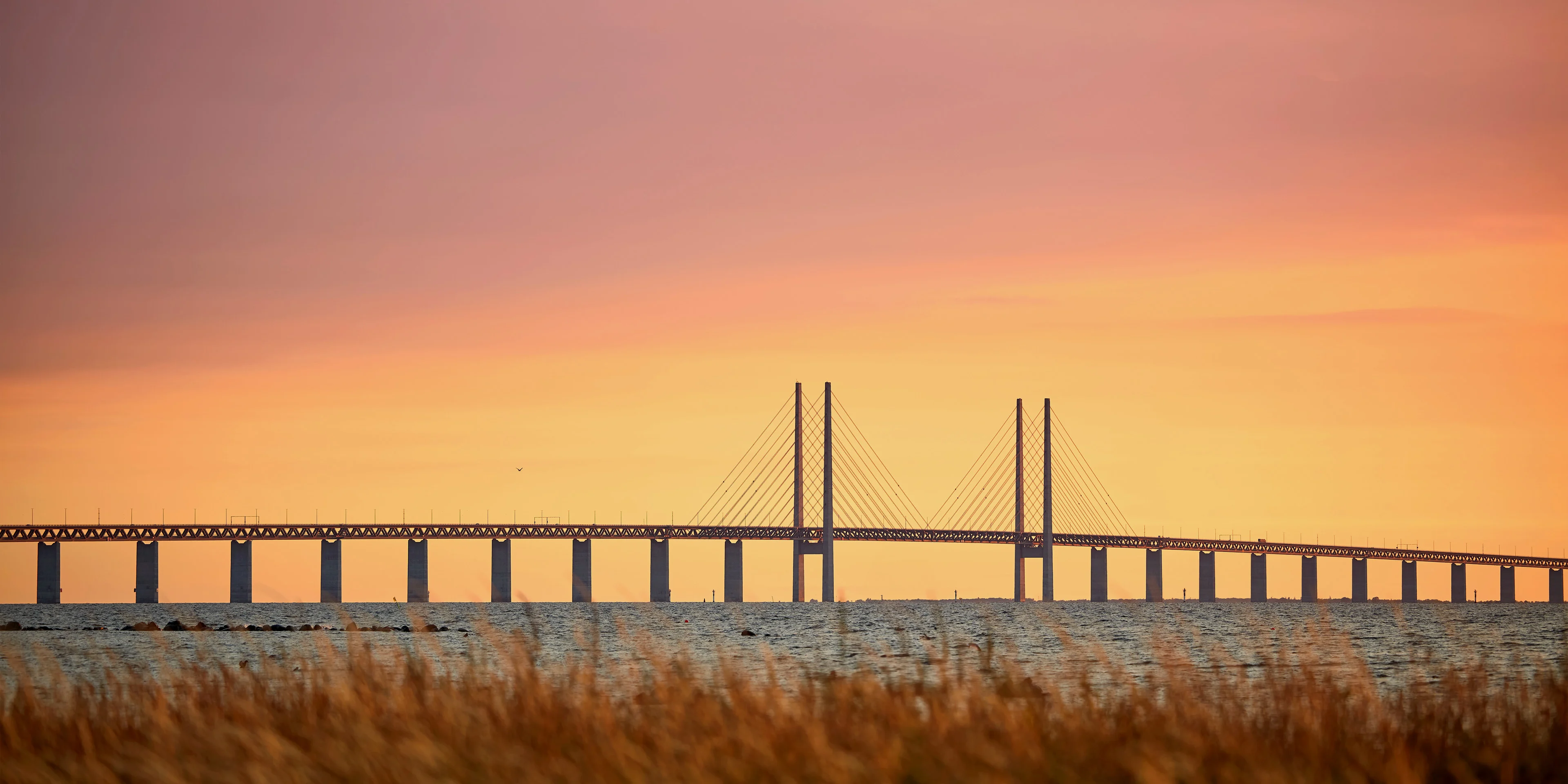 The Øresund bridge with pink and yellow colours in the sky and tall grass in the foreground.