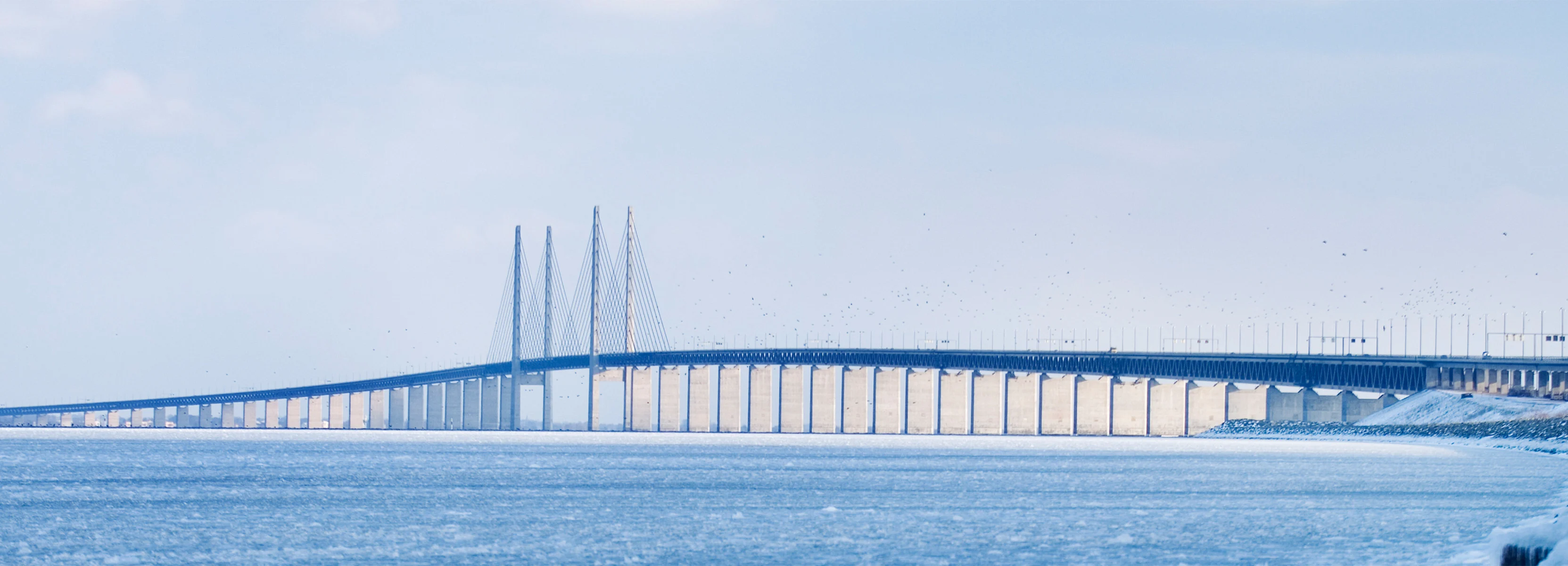 The Øresund bridge in daylight.