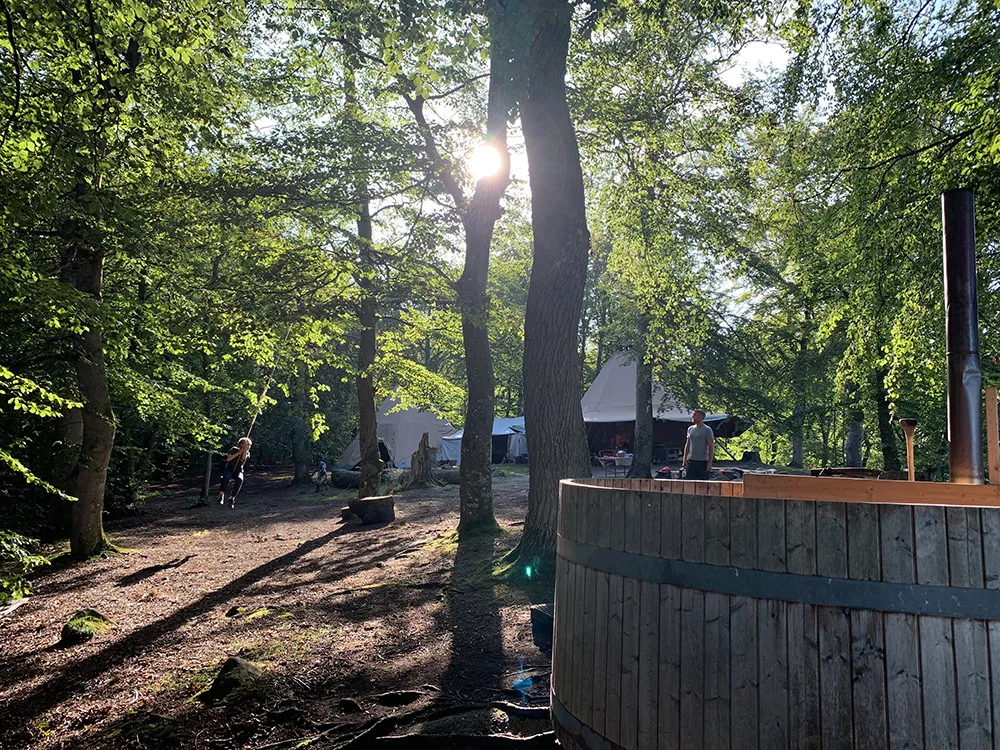 Camp Häckeberga i den svenske bøgeskov med glampingtelte og et vildmarksbad blandt træerne.