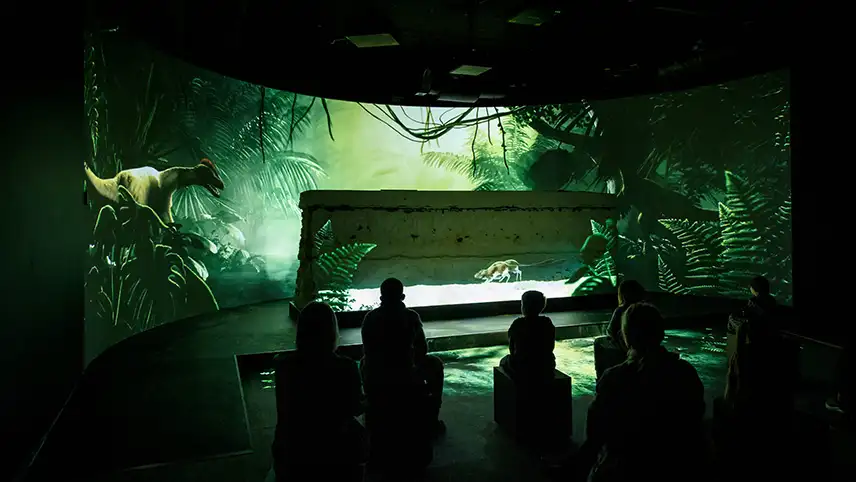 Filmvisning inne vid utställningen, med den unika 3D-filmen som visas på väggen samt en utgrävd bit av klinten.