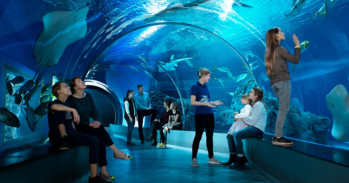 Besökare till Den blå Planet tittar på fiskar i en tunnel med vatten runtom.
