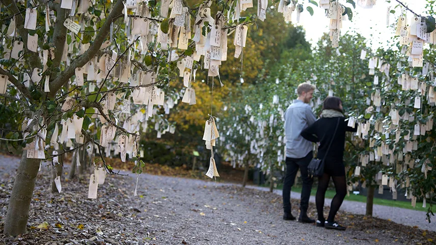 Yoko Onos værk Wish Trees for Wanas på Wanås.