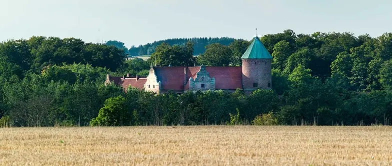 Skarhult