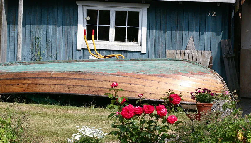 Ett lågt trähus i havsblå färg med vita fönsterbrädor, en eka ligger vänd upp och ner i gräset framför och det växer vackra rosor i förgrunden.