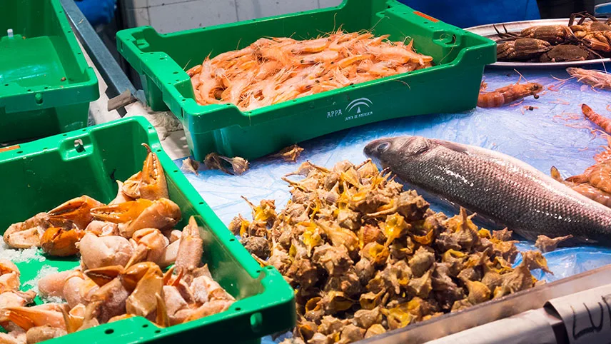 Färsk fisk och skaldjur till salu på Fischmarkt i Hamburg.