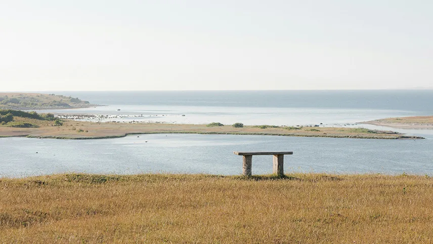 Vy från ett naturområde med gräs, en fjord med blankt vatten och en bänk.