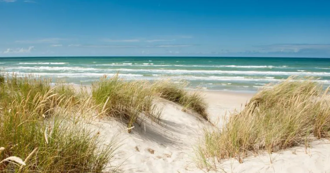 Sanddyner med gräs vid en solig strand som leder ut mot det blåa havet och den klara himlen.