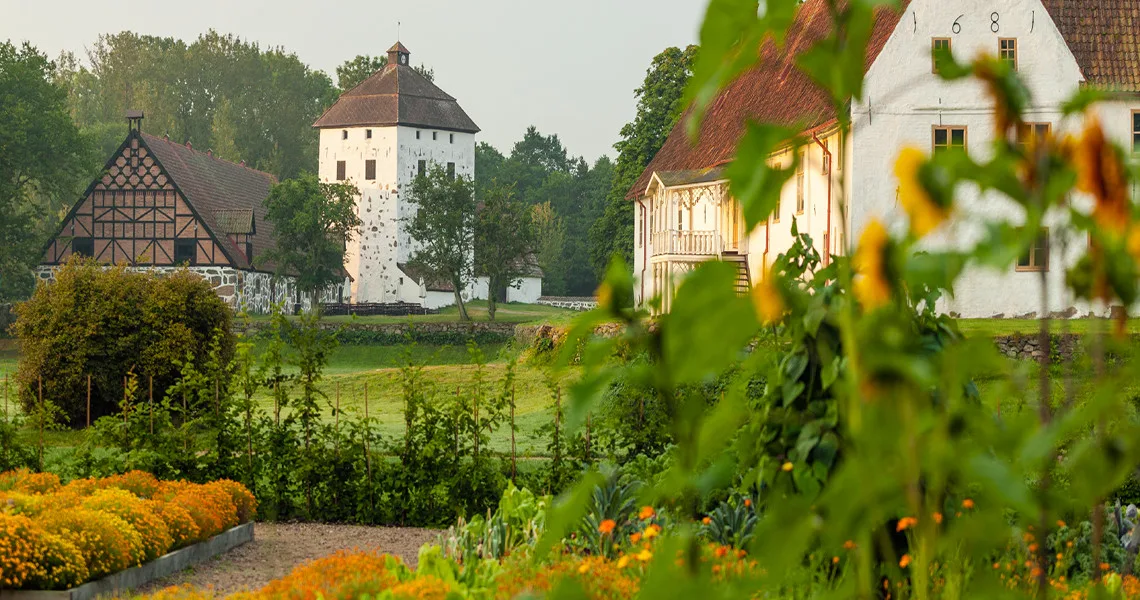 Plantager og gamle huse i baggrunden.