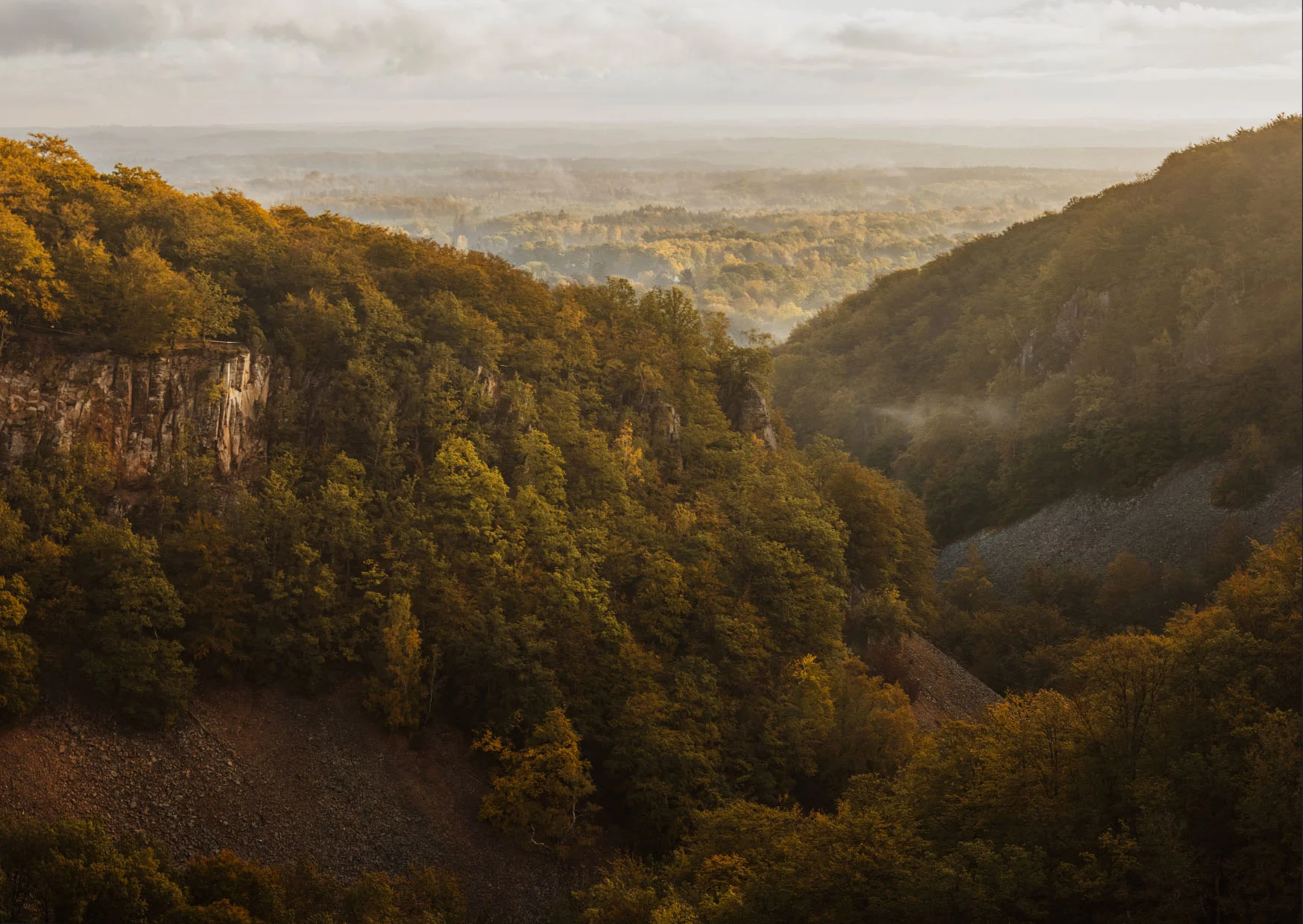 Söderåsens nationalpark Kopparhatten