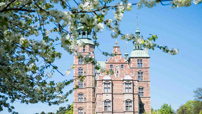 Körsbärsblommor framför Rosenborgs slott.