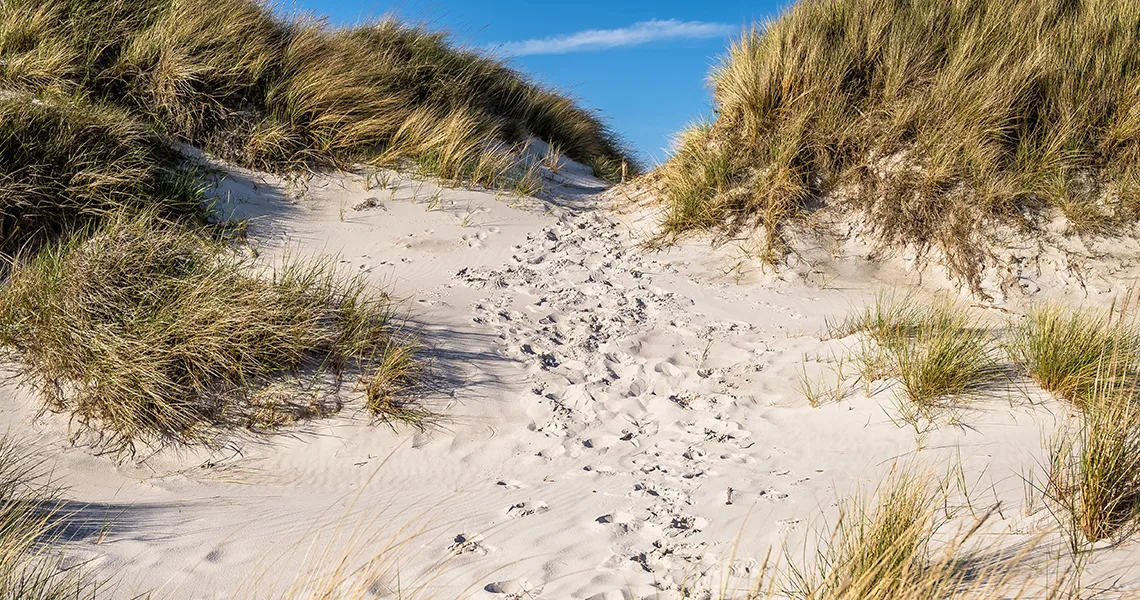 Dueodde strand på Bornholm