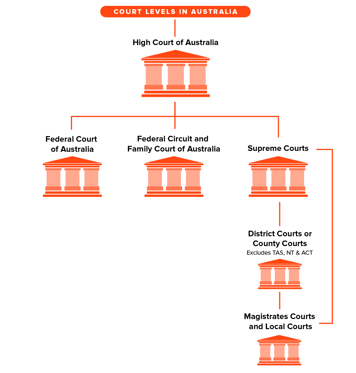Justice Judicial Branch What Percentage Of Cases Does The Supreme