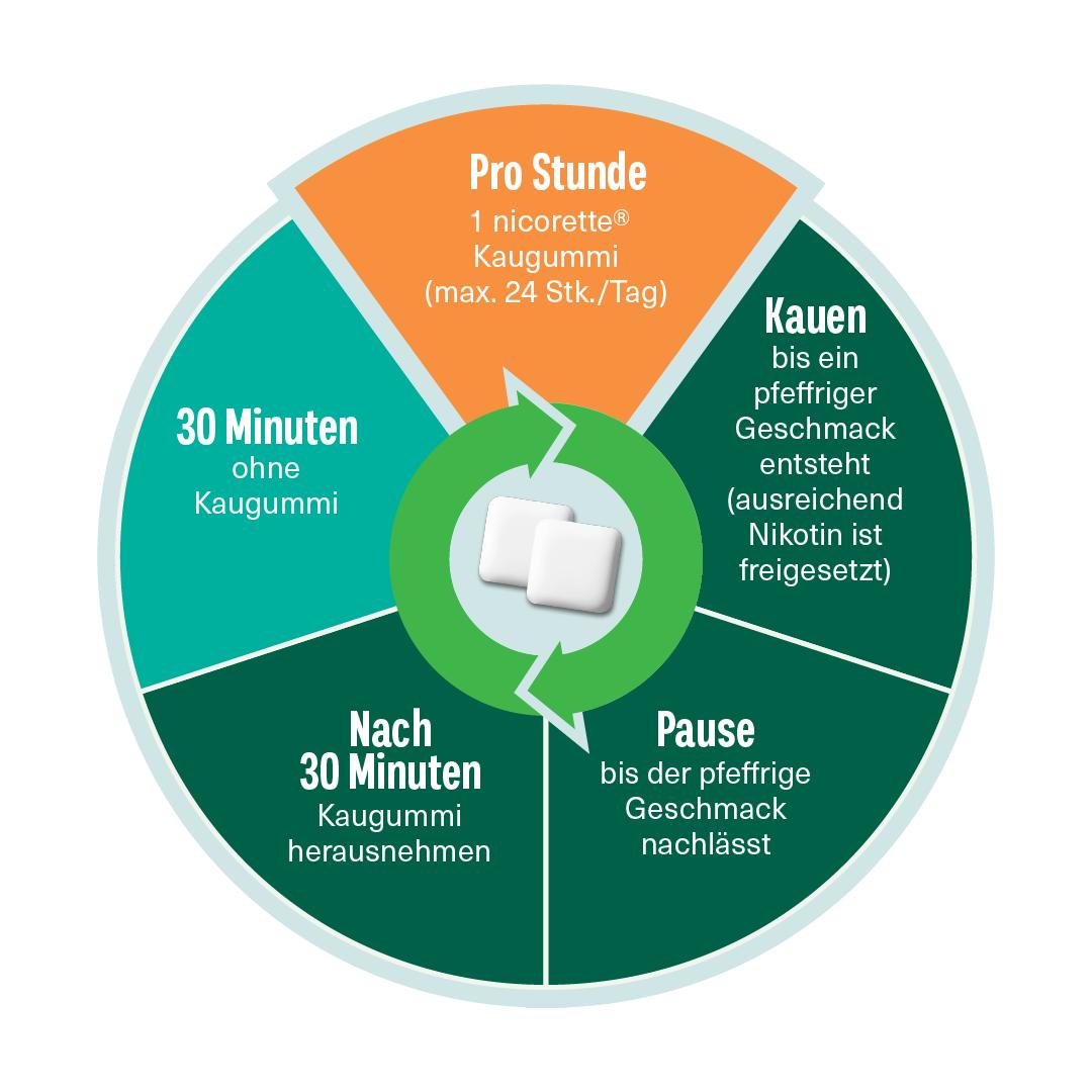NICORETTE Kaugummi - Wirkweise Diagramm - Pro Stunde 1 Kaugummi. Kauen bis pfeffriger Geschmack entsteht und ausreichend Nikotin freigesetzt ist. Pause bis der pfeffrige Geschmack nachlässt. Nach 30 Minuten Kaugummi herausnehmen. 30 Minuten ohne Kaugummi.