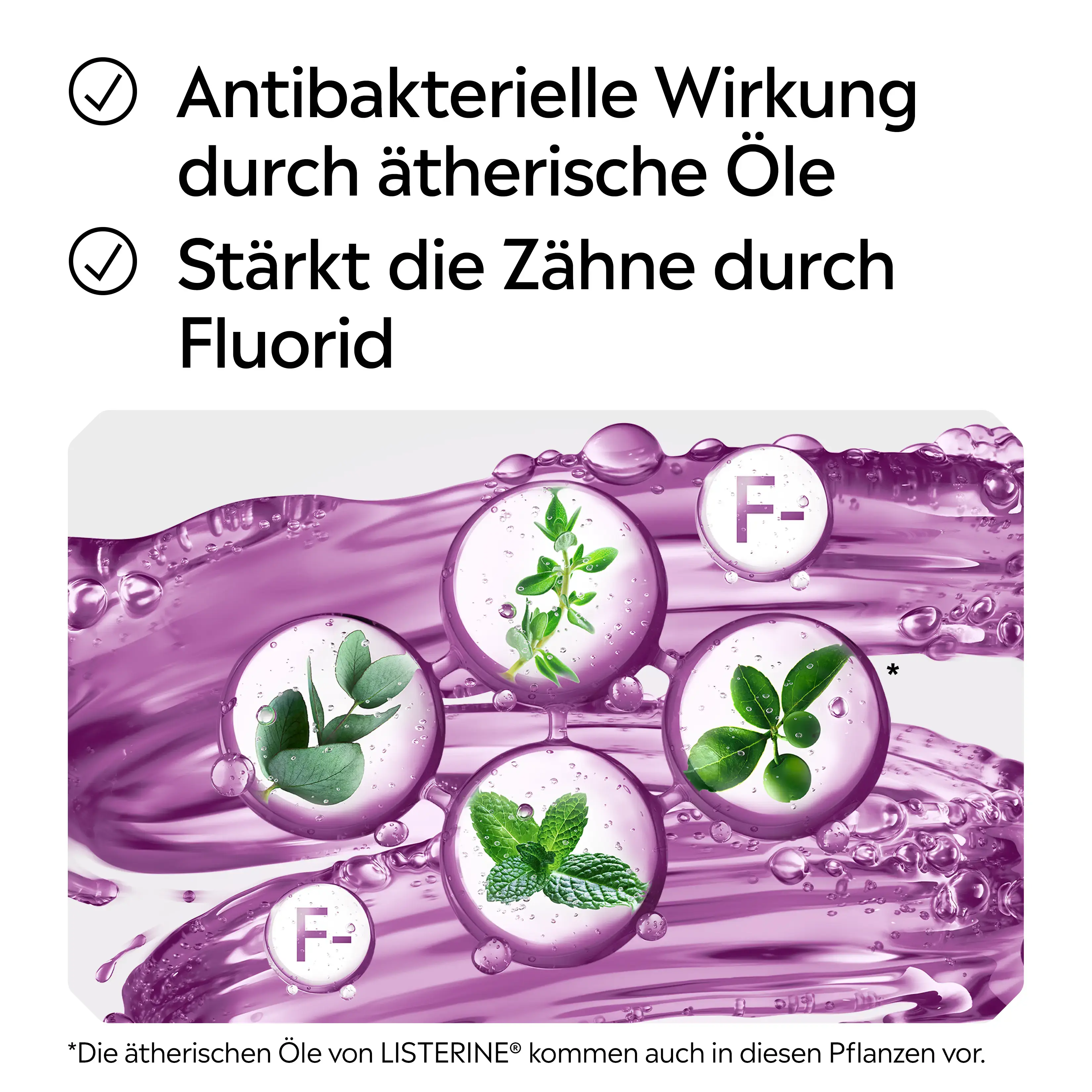LISTERINE® Total Care mit Hinweisen auf antibakterielle Wirkung durch ätherische Öle und Stärkung der Zähne durch Fluorid.