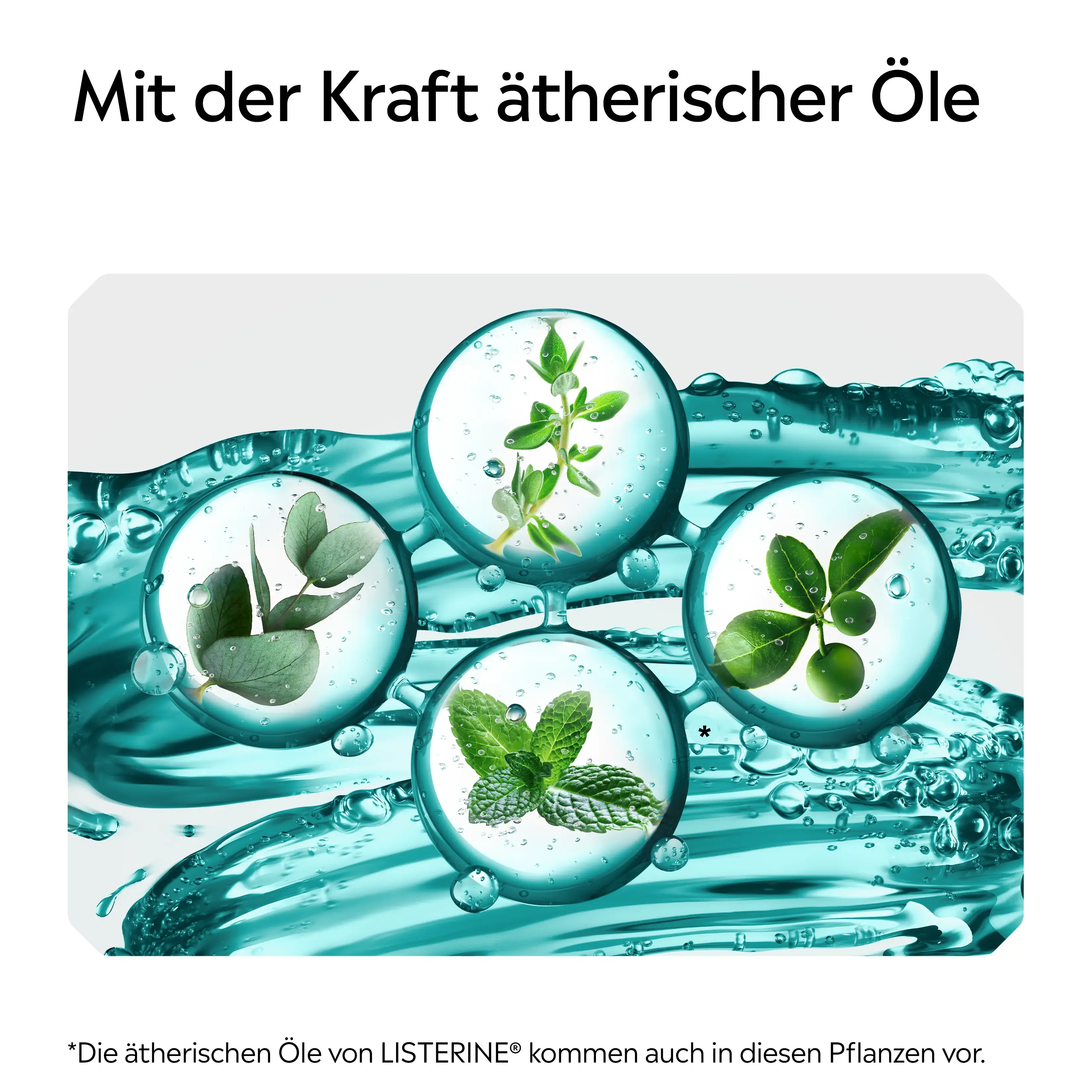 Darstellung ätherischer Pflanzenöle in Wasserblasen mit Hinweis auf die Kraft ätherischer Öle bei LISTERINE®.