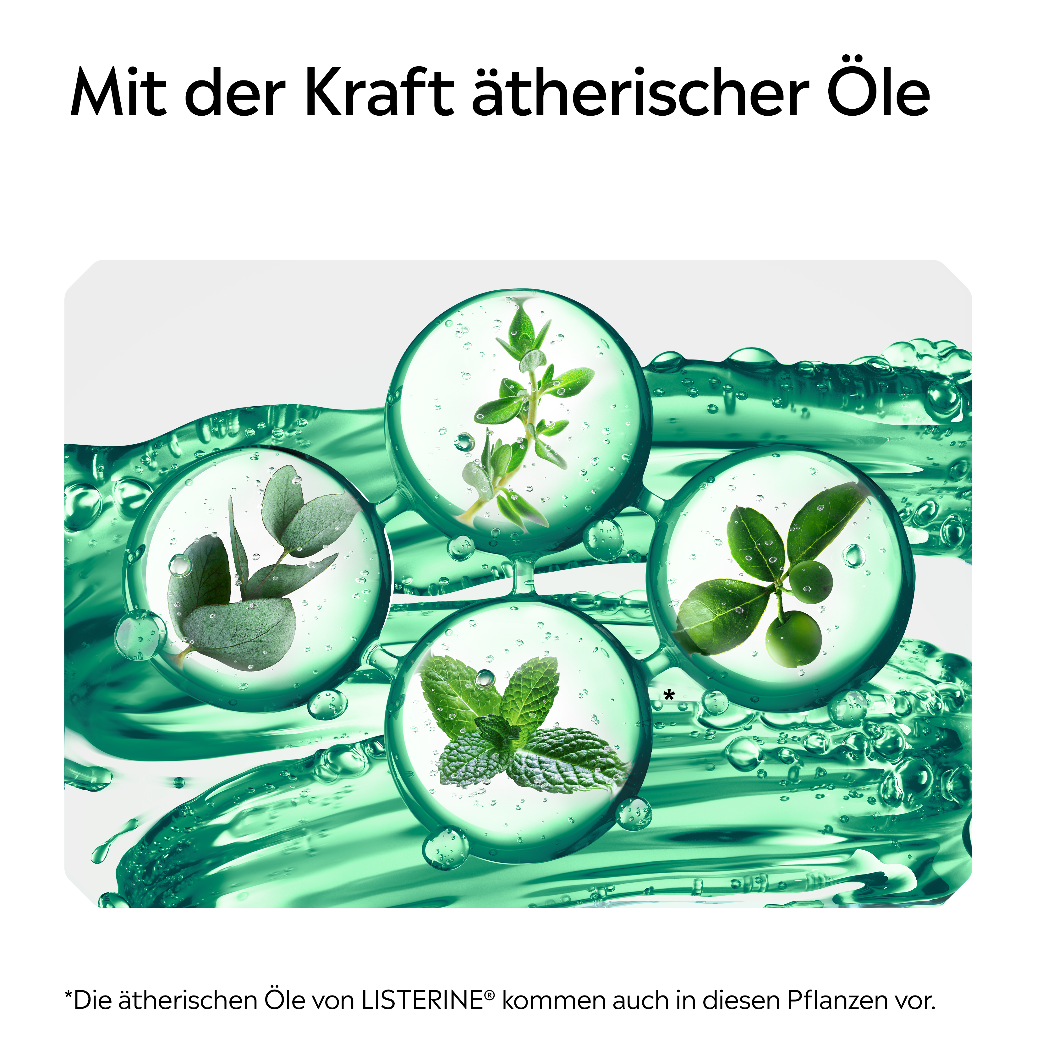 Darstellung ätherischer Pflanzenöle in Wasserblasen mit Hinweis auf die Kraft ätherischer Öle bei LISTERINE®.