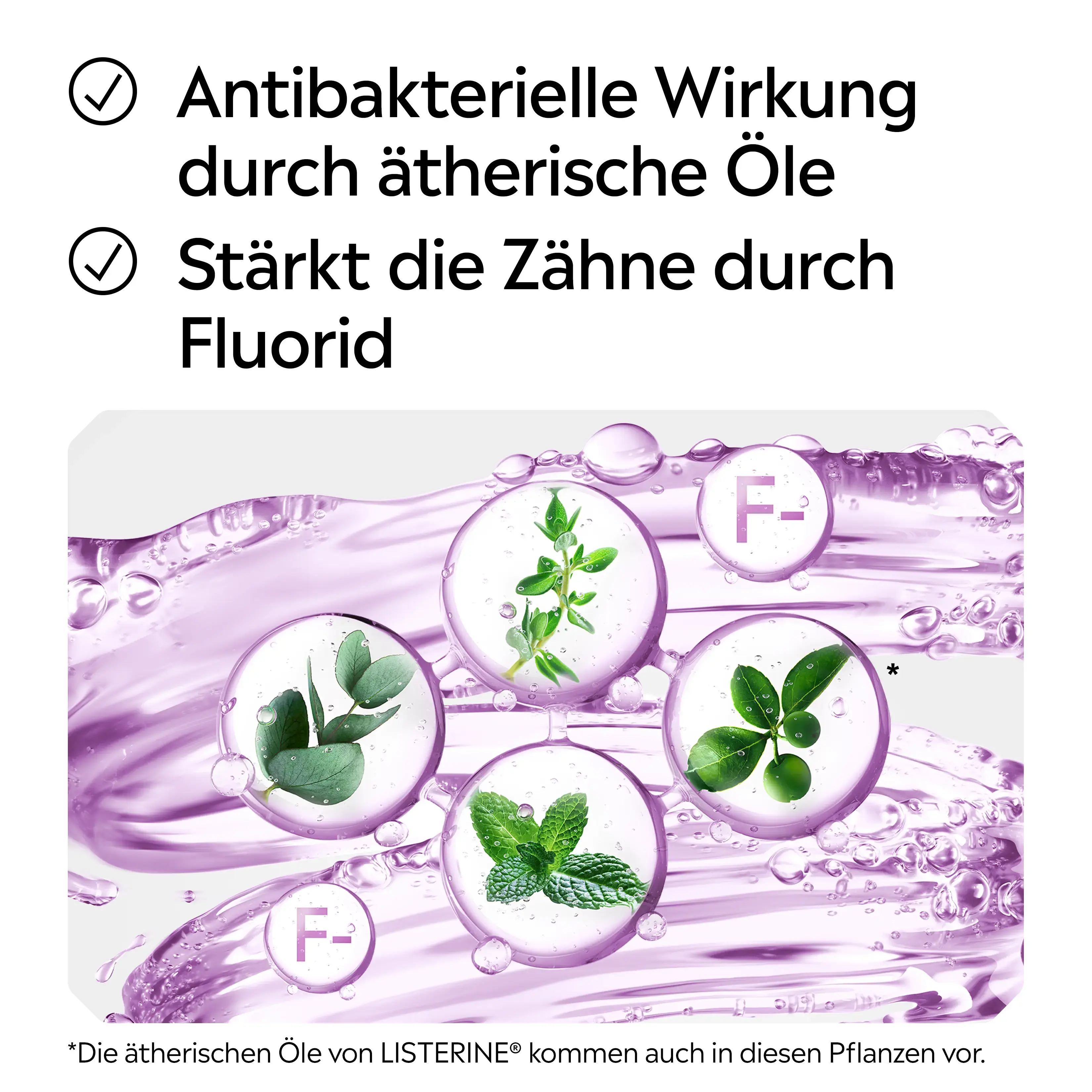 Antibakterielle Wirkung durch ätherische Öle + Stärkt die Zähne durch Fluorid