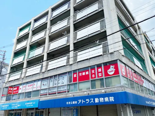 住吉公園の写真2 - 大阪府大阪市住之江区のトランクルーム内観