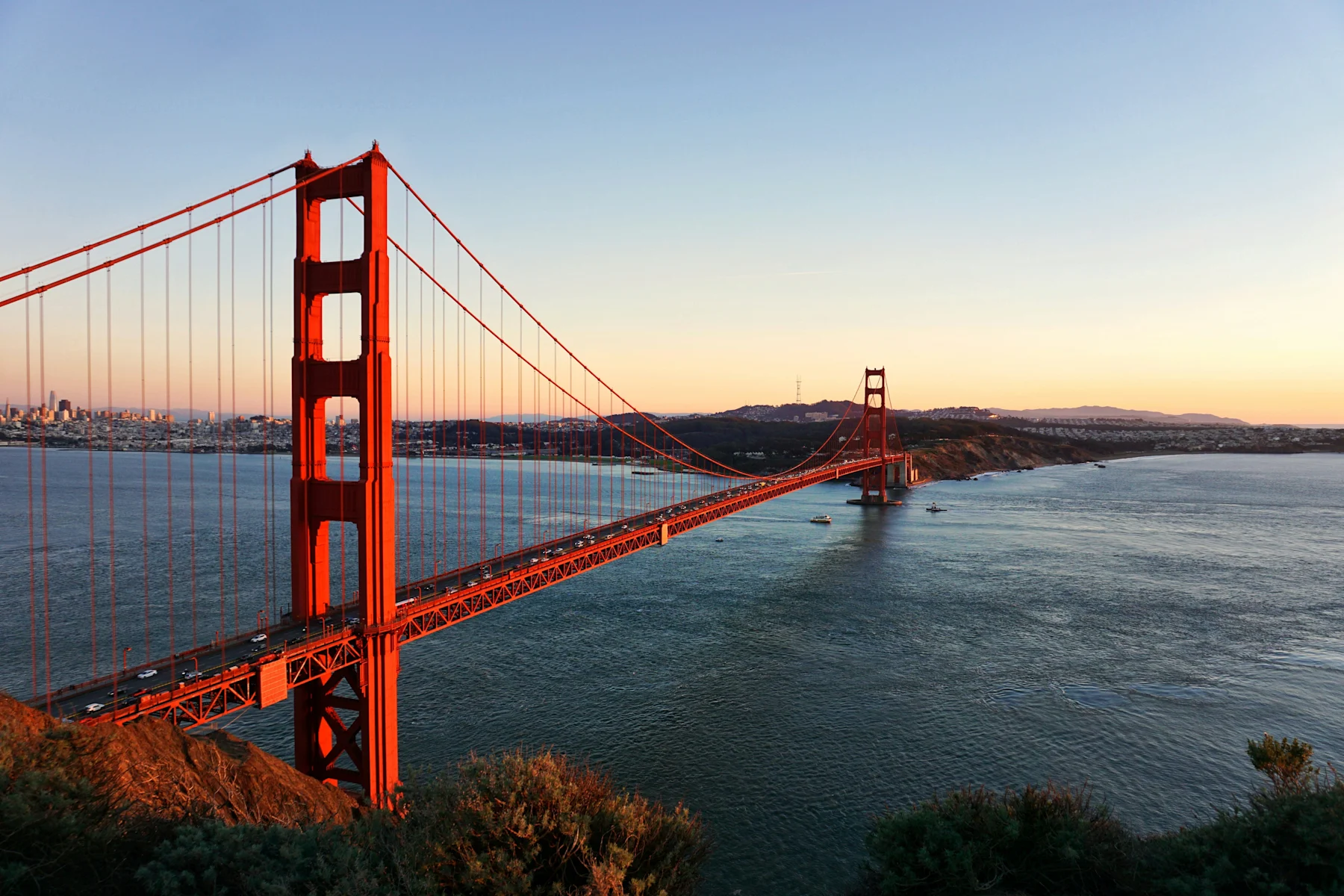 California Supp photo