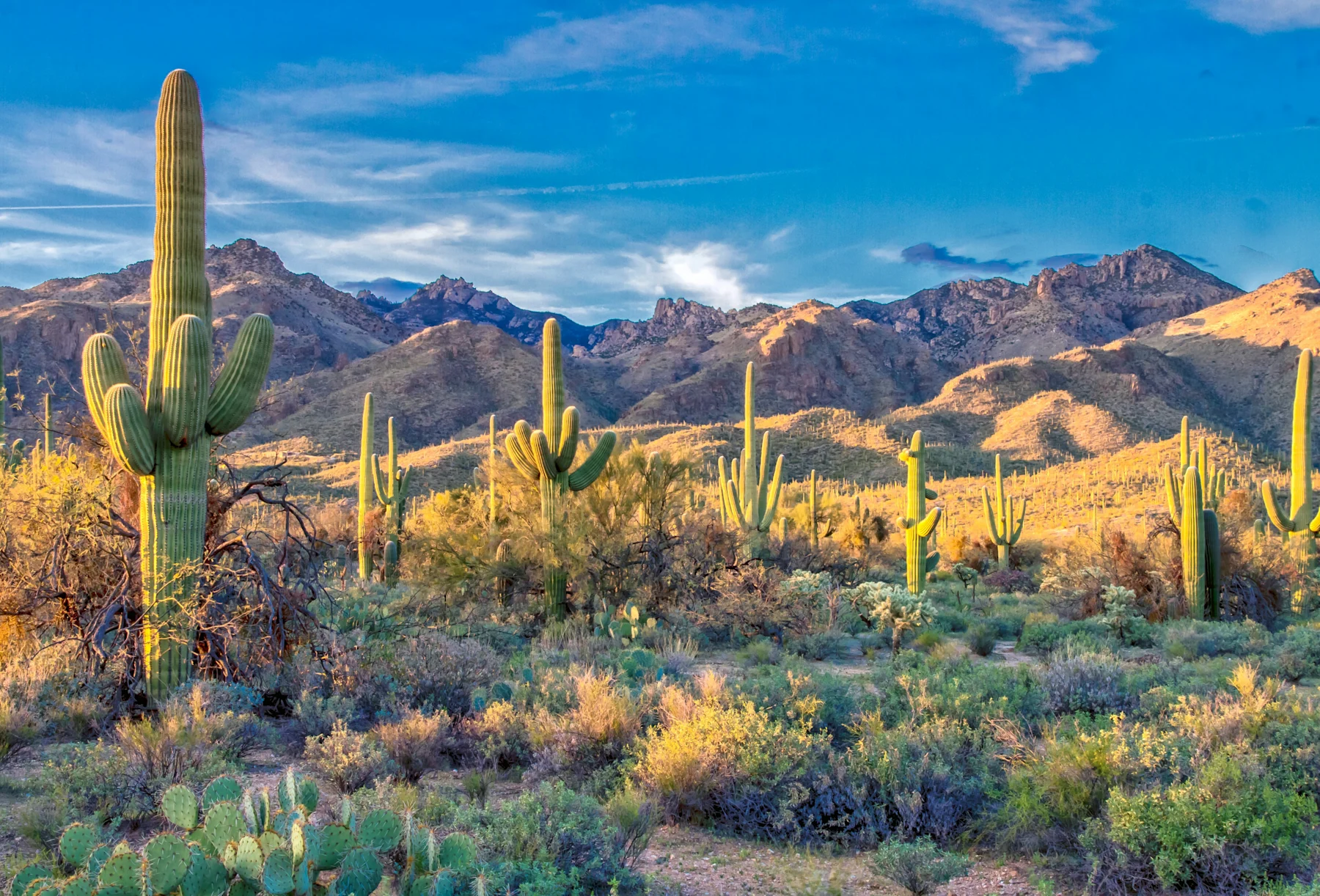 Arizona - Hero Image