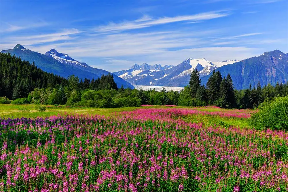 Medicare Supplement Insurance Plans in Alaska - Image 2
