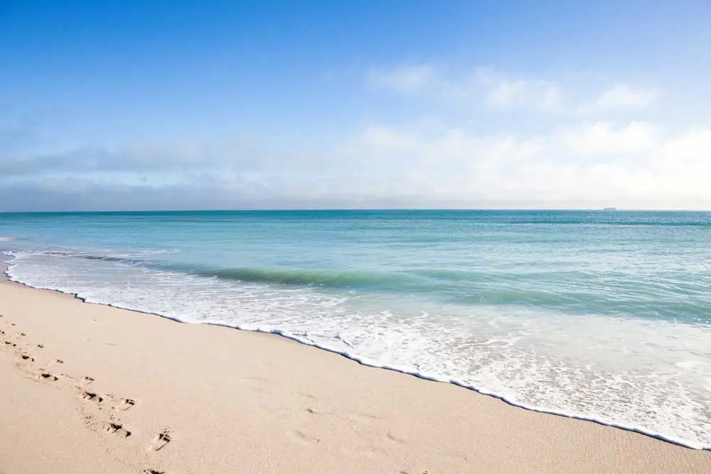 florida-mobile