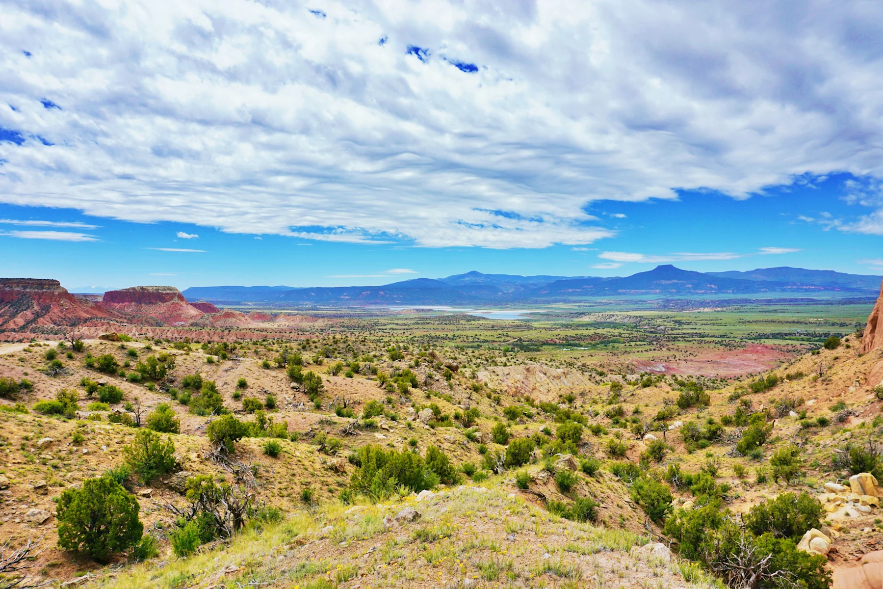 New Mexico - hero image