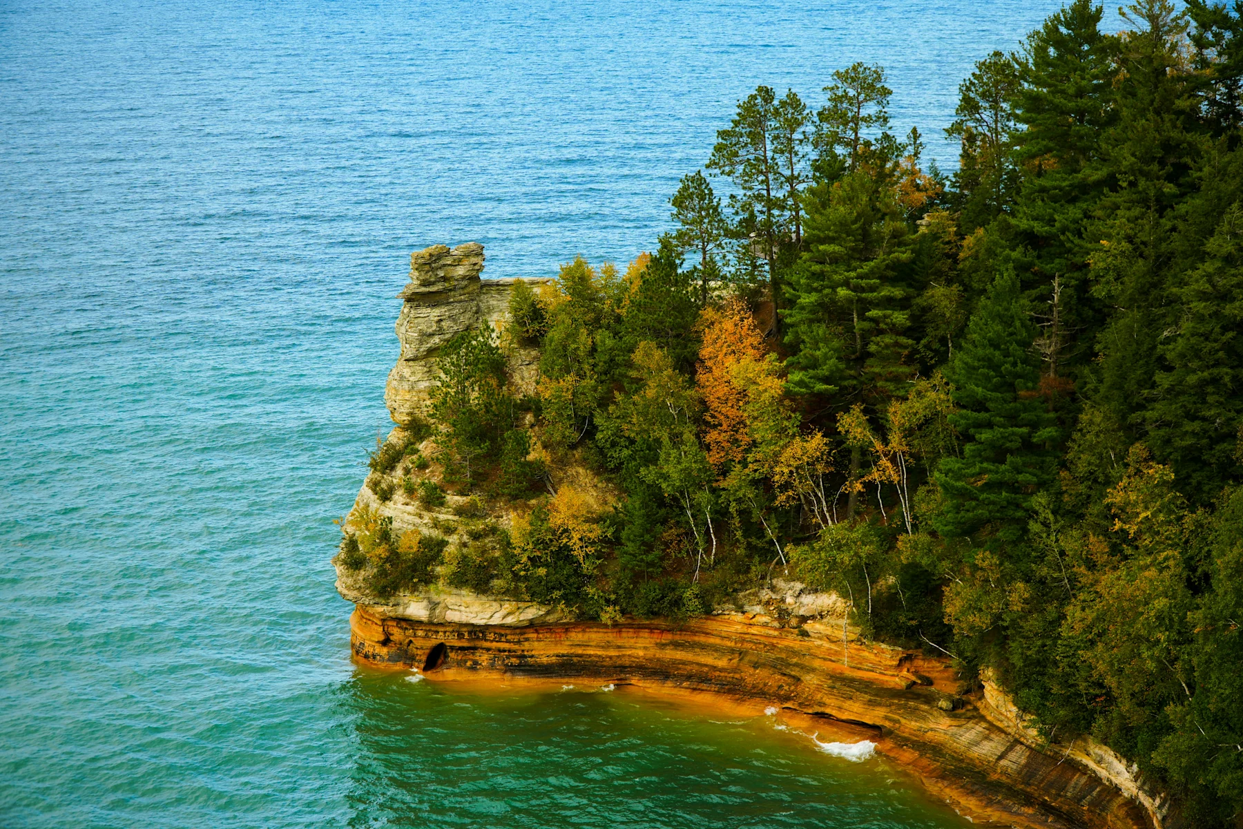Michigan Supplement Image